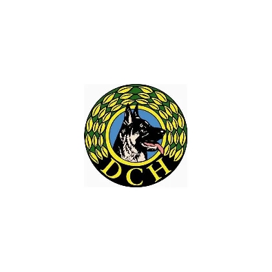 DCH Skjern/Tarm logo